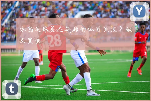 冰岛足球员在英超的体育竞技贡献及案例