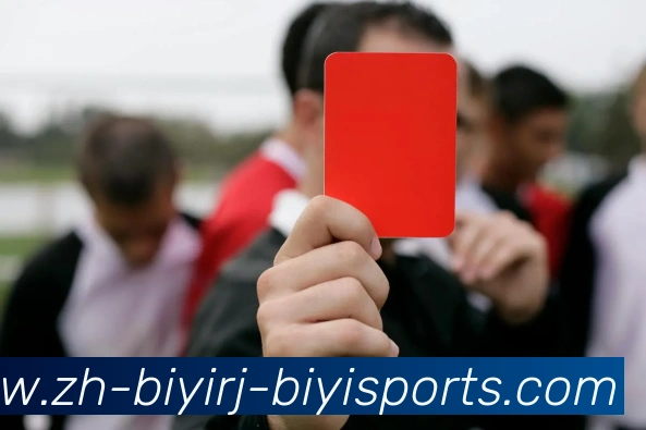 必一体育官方网站服务体系